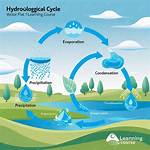 When Is Hydrological Cycle?
