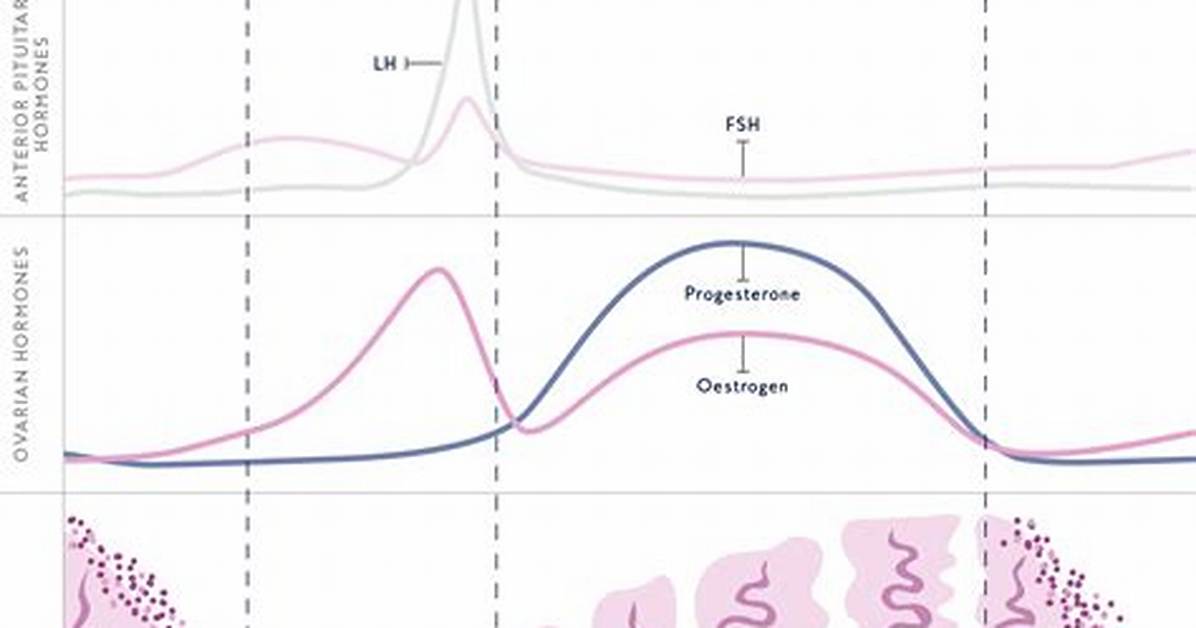 When Is Lining Thickness?