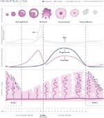 When Is Lining Thickness?