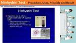 When Is Ninhydrin Used?