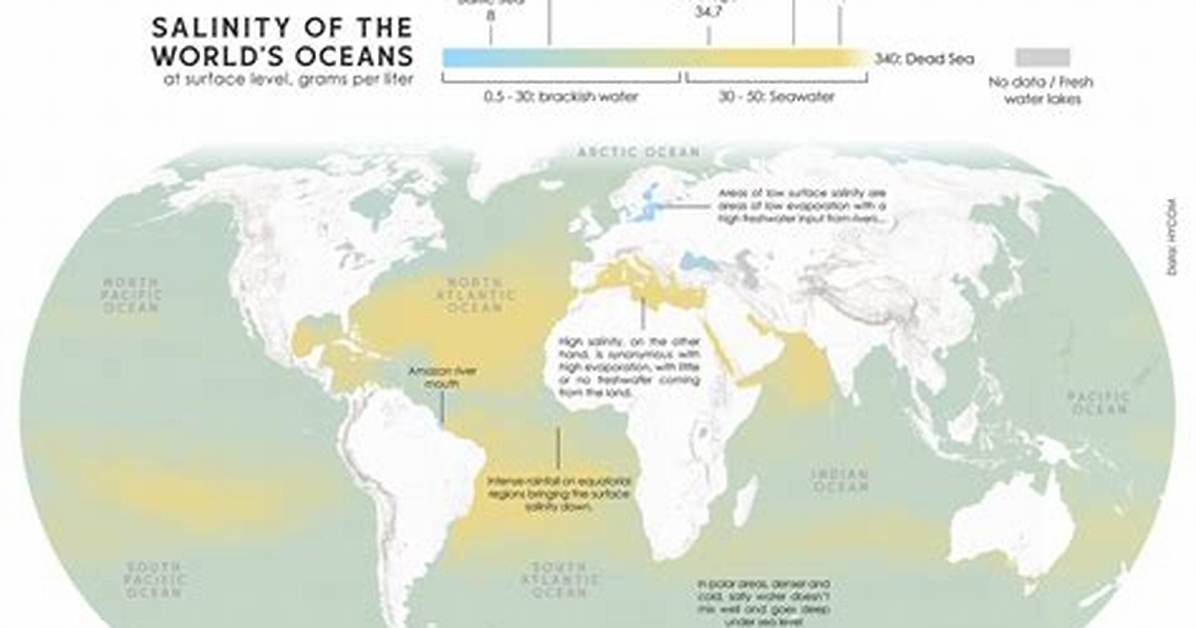 When Is Salinity Highest?