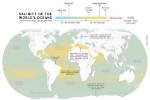 When Is Salinity Highest?