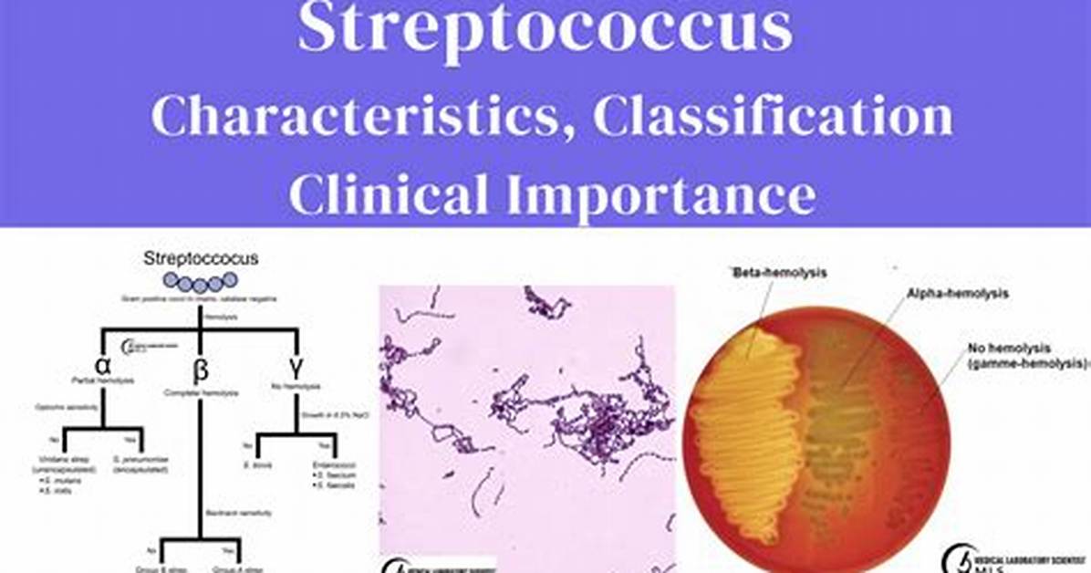 When Is Streptococcus Capitalized?