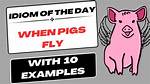 When Pigs Fly Connotation?