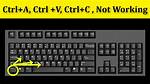 When Pressed Ctrl+C Only Break out of Current Function and Not Whole Bash Script
