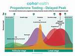 When Progesterone Test Done?