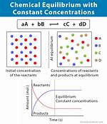 When Reaction Is at Equilibrium?