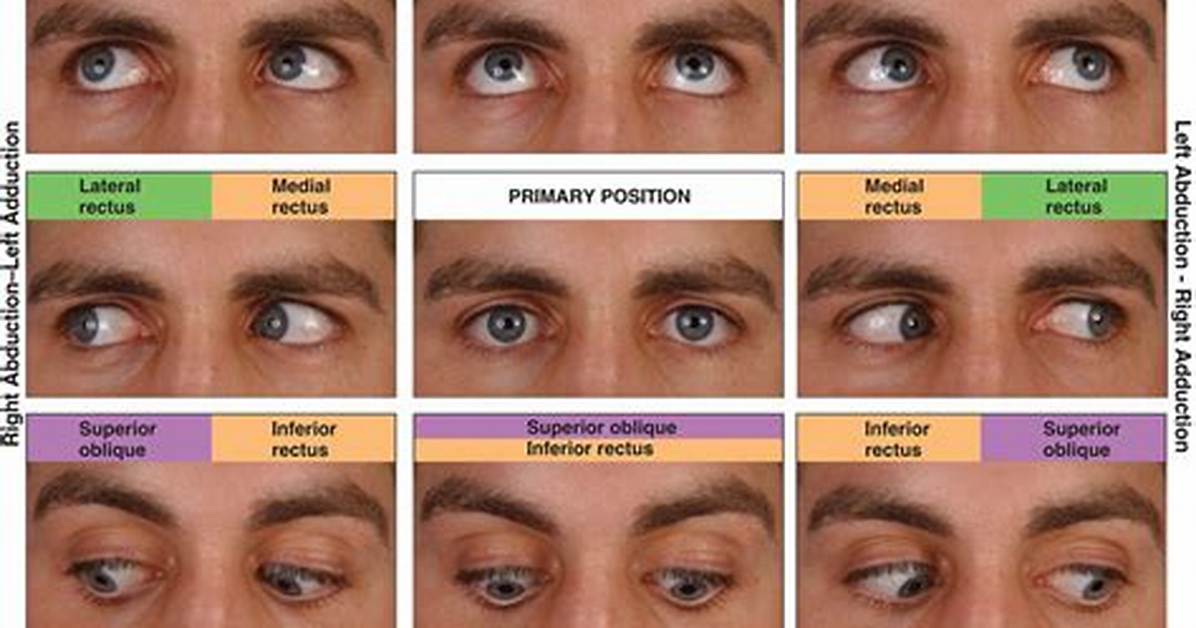 When Remembering Eye Movement?