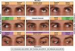 When Remembering Eye Movement?