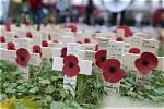 When Remembrance Day Started?
