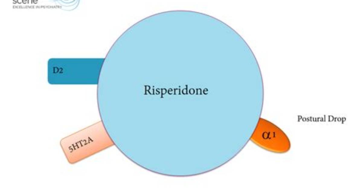 When Risperidone Starts Working?