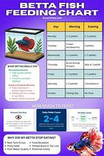 When Should Fish Be Fed?
