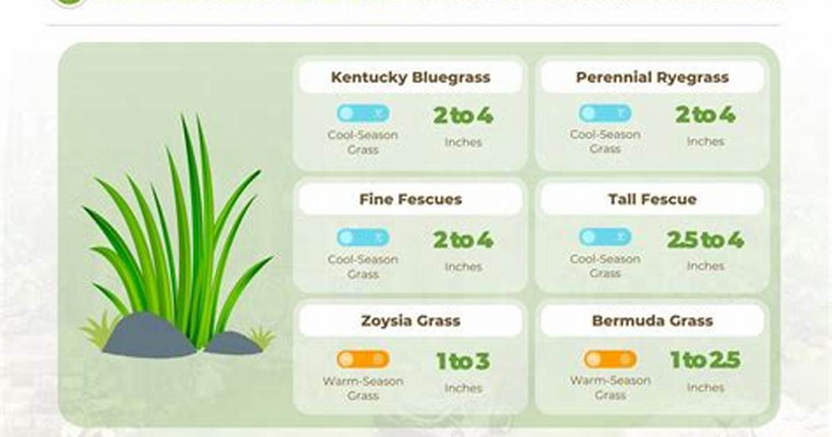 When Should Grass Be Cut