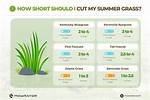 When Should Grass Be Cut