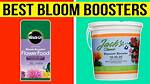 When Should I Start Using Bloom Booster?