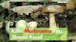When Should You Avoid Mushrooms?