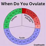 When Should You Ovulate?