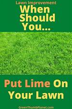 When Should You Put Down Lime?