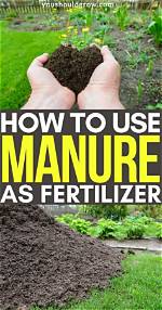 When Should You Spread Manure?