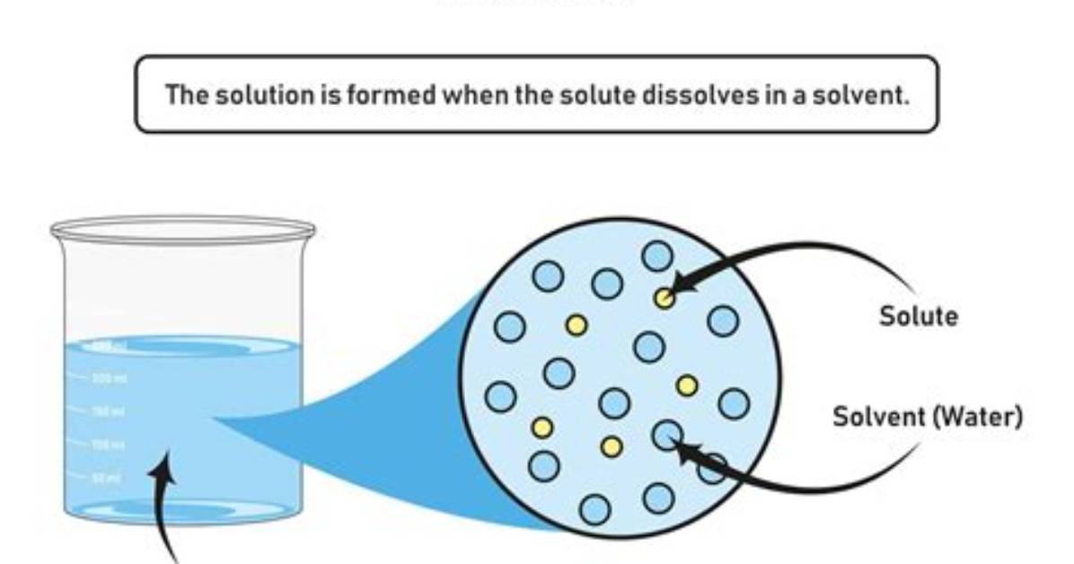 When Solute Dissolves into a Solvent It Is Called a?