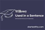 When Someone Is Willowy?