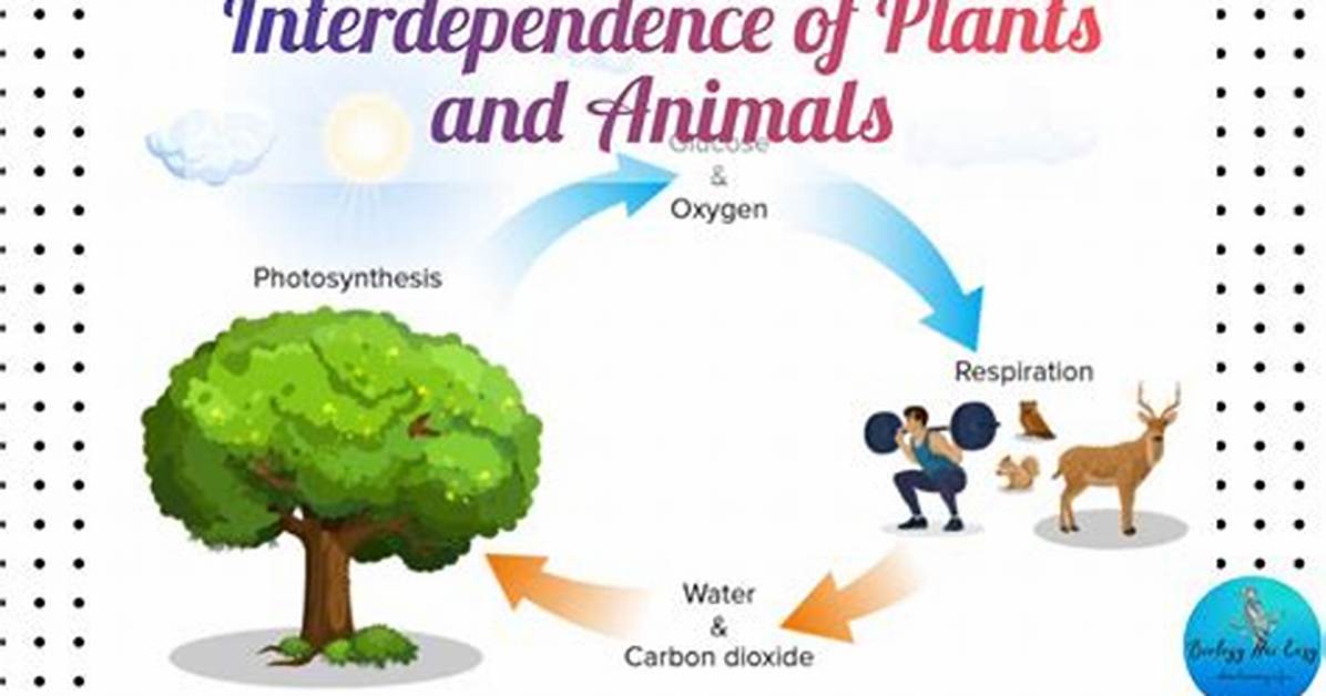 When Something Is Interdependent?