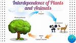 When Something Is Interdependent?