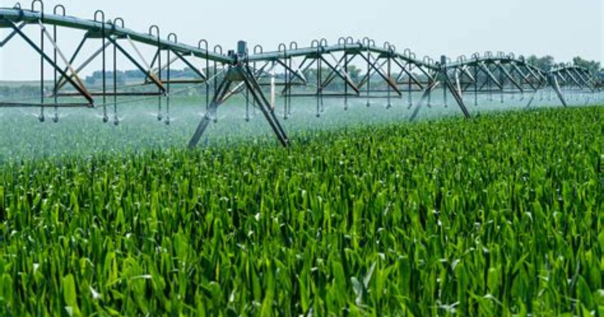 When Something Is Irrigated?
