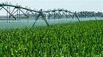 When Something Is Irrigated?