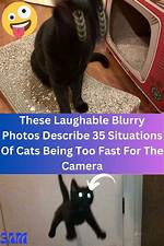 When Something Is Laughable?