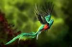 When Something Is Resplendent?