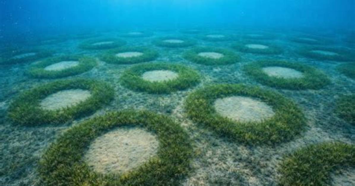 When Something Is Seabed?