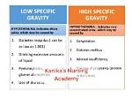 When Specific Gravity Is High?