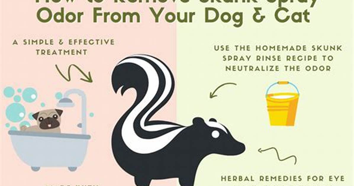 When Sprayed by a Skunk?