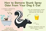 When Sprayed by a Skunk?