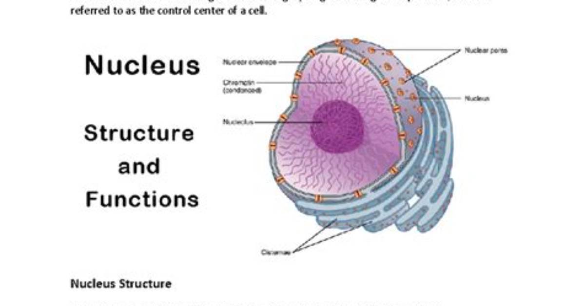 When Structure and Function?