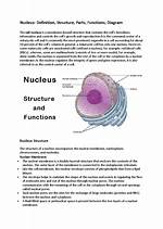 When Structure and Function?