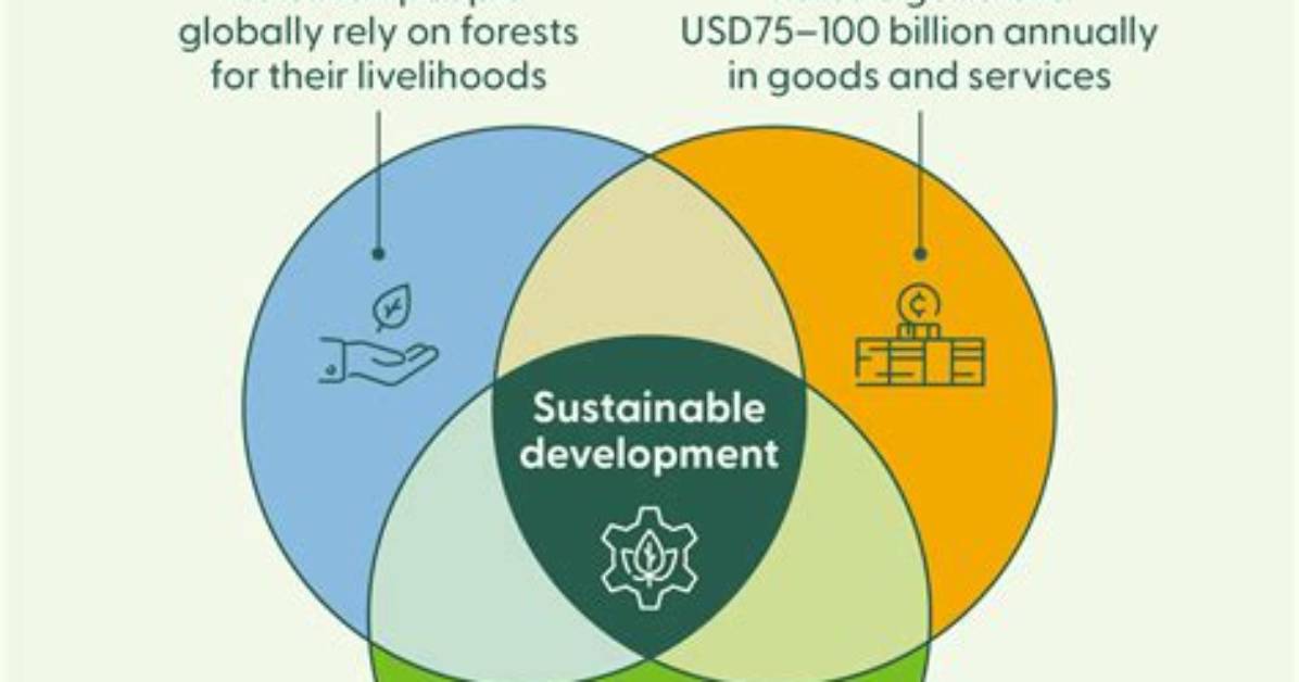 When Sustainable Development Started?