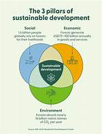 When Sustainable Development Started?