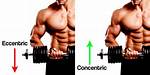 When the Biceps Contract Eccentrically?