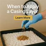When to Apply Casing Layer?