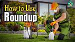 When to Apply Roundup?