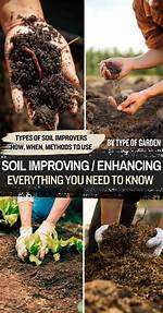 When to Apply Soil Improver?