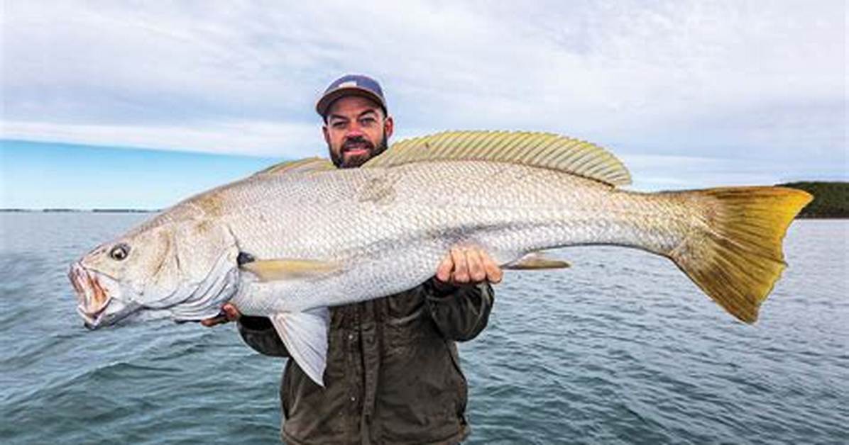 When to Catch Mulloway?