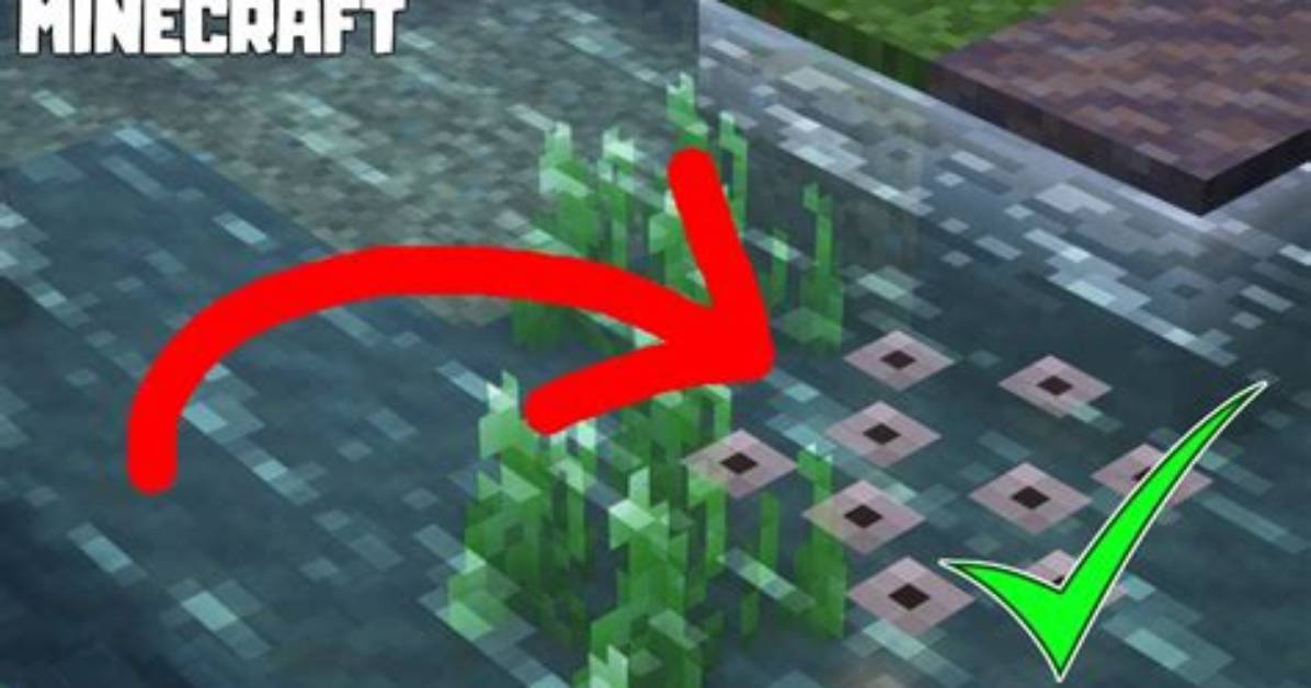 When to Collect Frog Spawn?