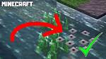 When to Collect Frog Spawn?