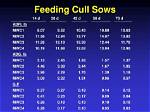 When to Cull Sows?