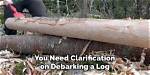 When to Debark a Tree?