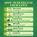 When to Dethatch Lawn