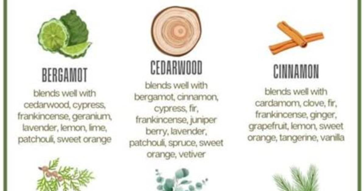 When to Diffuse Essential Oils?